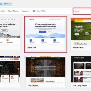 WordPress Theme Customization Service