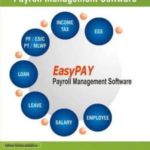 Custom Payroll Processing Software
