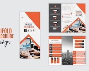 Professional Tri-Fold Brochure Design